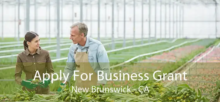 Apply For Business Grant New Brunswick - CA